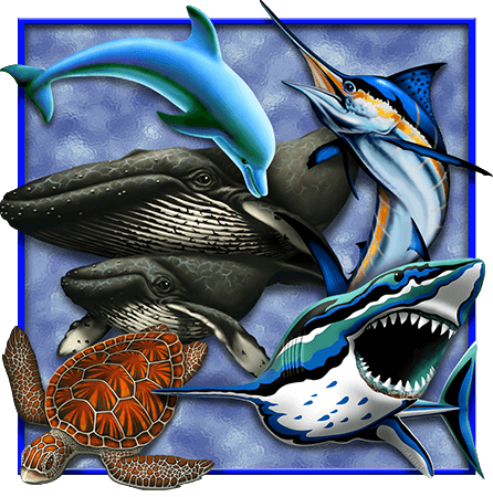 art-gallery-main-spinner-commercial-sea-creatures-C