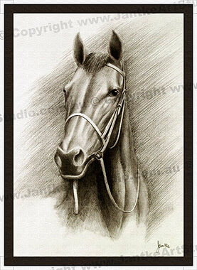 PRC016-spinner-art-page-animal-thoroughbred-portrait-horse-jantke-art-print-2-C