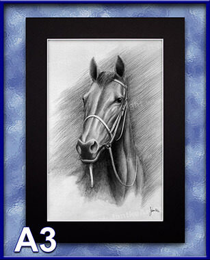 PRC016-spinner-art-page-animal-thoroughbred-portrait-horse-jantke-art-print-3-C