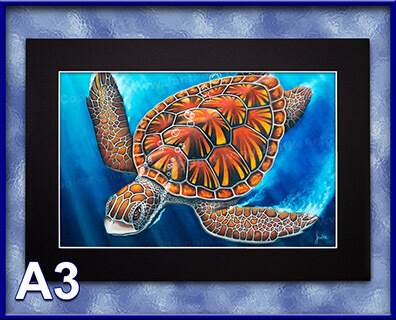 PRC017-spinner-art-page-animal-green-turtle-queensland-australia-jantke-art-print-3-C