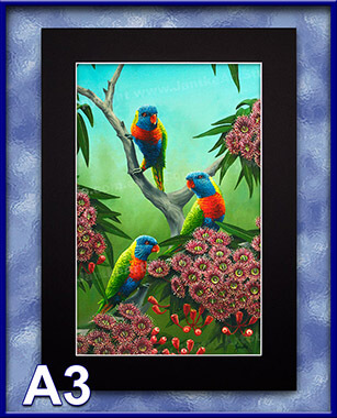 PRC027-spinner-art-page-animal-rainbows-and-reds-lorikeets-australian-native-birds-jantke-art-studio-print-3-C