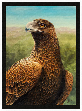 PRC032-spinner-art-page-wedge-tail-eagle-australian-native-bird-jantke-art-print-2-C