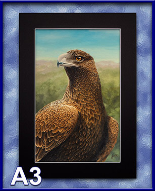 PRC032-spinner-art-page-wedge-tail-eagle-australian-native-bird-jantke-art-print-3-C