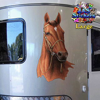 ST053BR-spinner-art-page-float-jas-thoroughbred-race-horse-pure-bred-equine-twin-pack-brown-JAS-Stickers