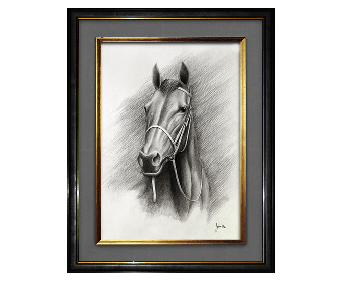 horse-thoroughbred-portrait-pencil-illustration-peter-jantke-art-fnl-C