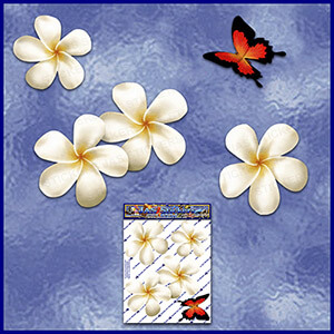 ST024WT-T1-TN-jas-frangipani-plumeria-flower-butterfly-pack-white-JAS-Stickers-C